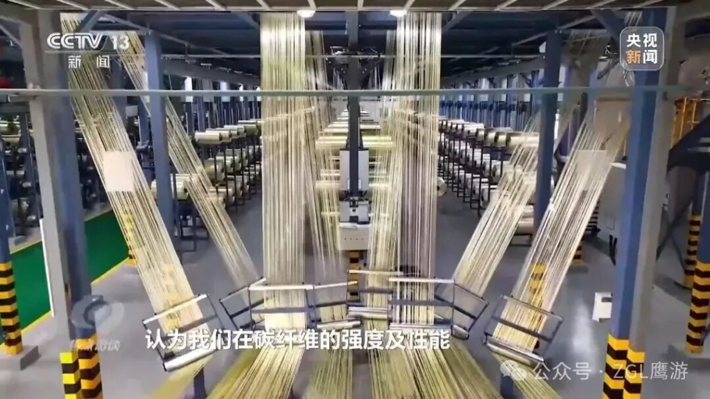 央視《焦點訪談》專題報道！解碼這束“黑色黃金”的培育路徑